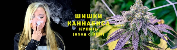 прущая мука Корсаков
