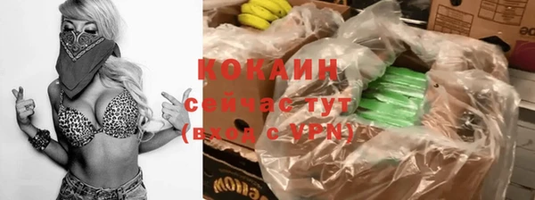гашик Коряжма