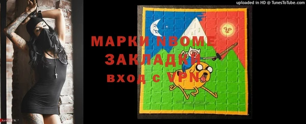 гашик Коряжма