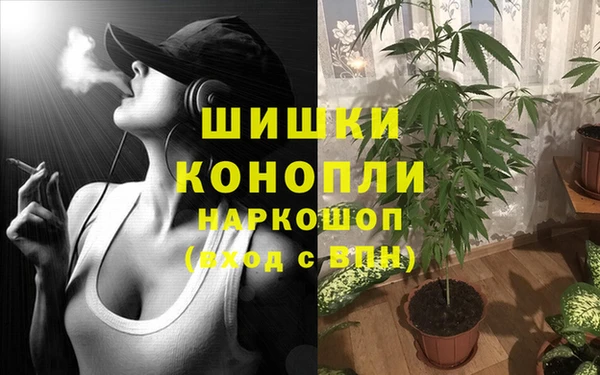 эйфоретик Костерёво
