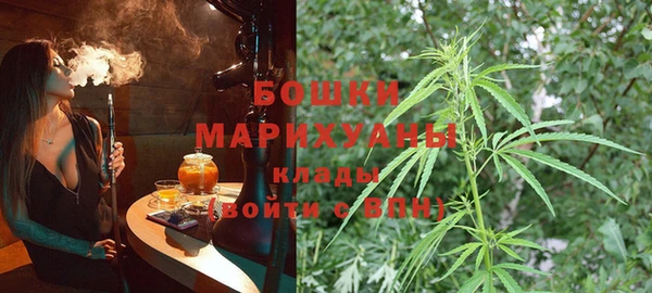 гашик Коряжма
