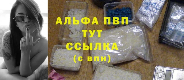 гашик Коряжма